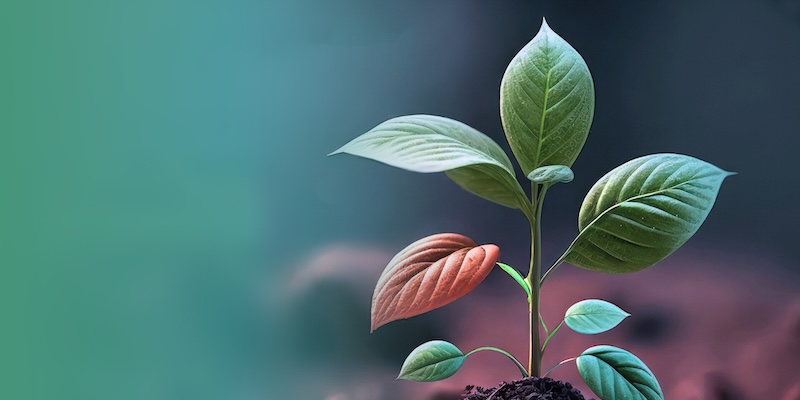 Candidaturas abertas para Unite! Seed Fund