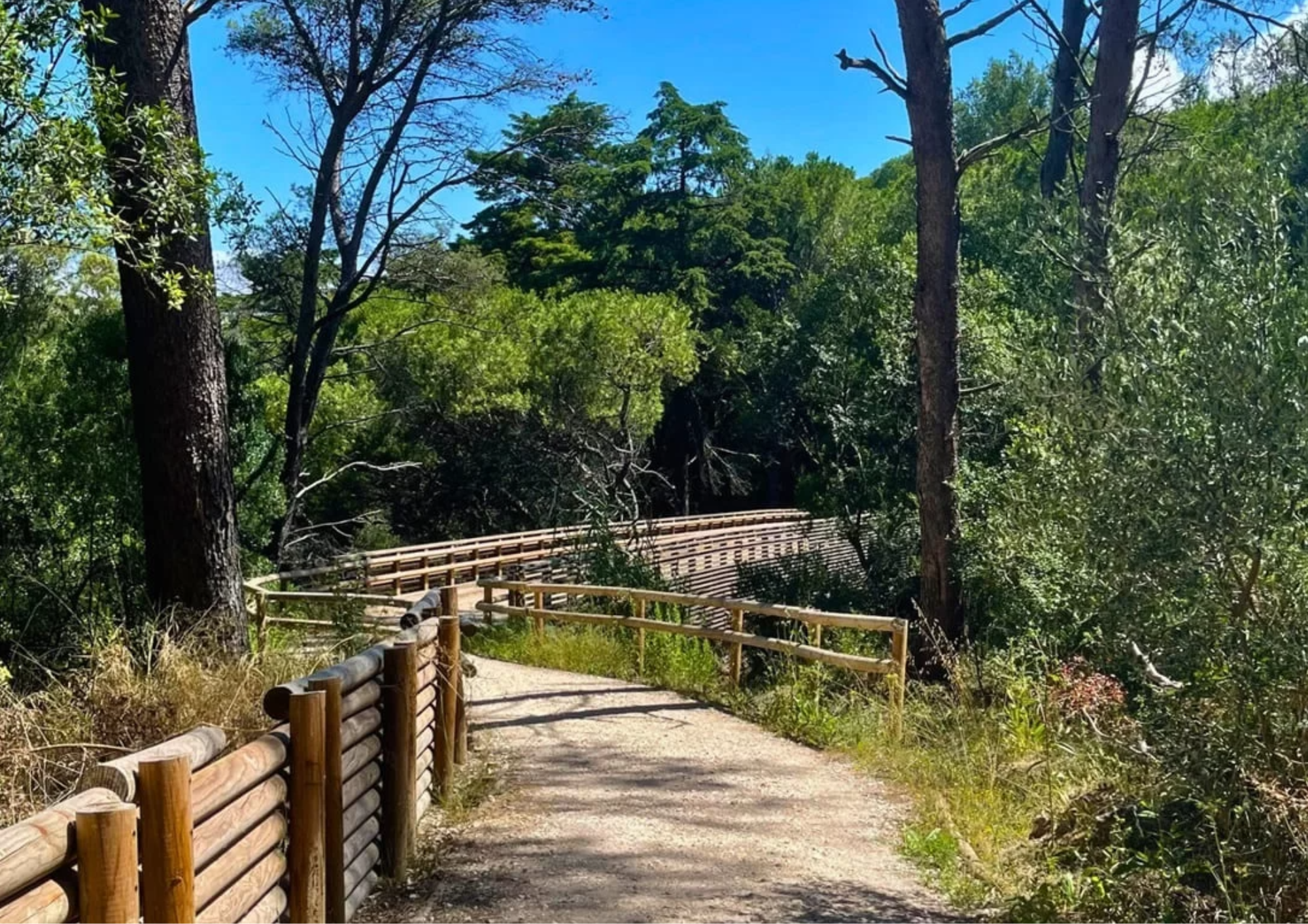ADIADO - 91.º aniversário do Parque Florestal de Monsanto